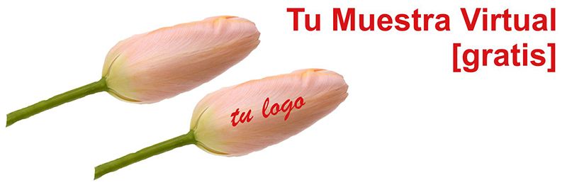 diseño gratuito